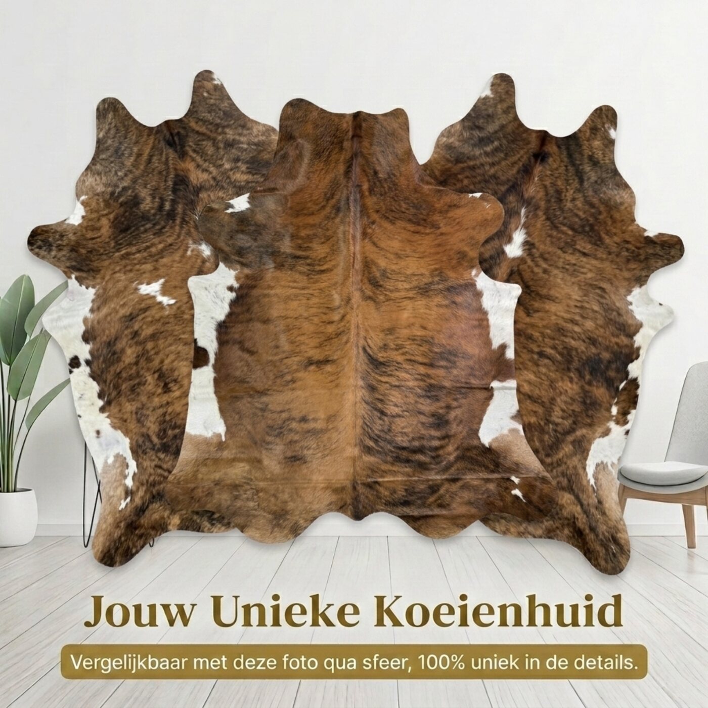 Kuhfell Normannisch Braun - Bild 6