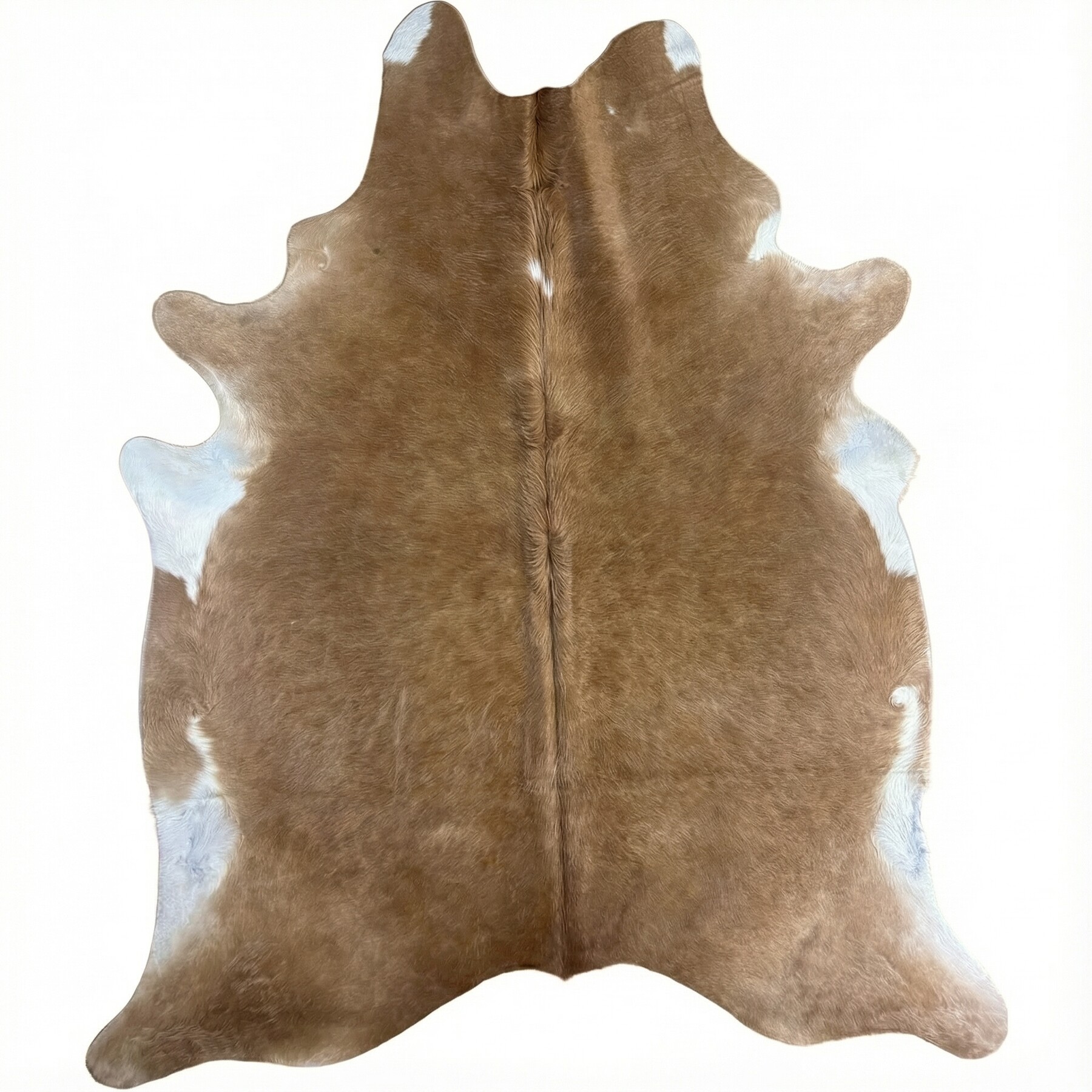 Kuhfell-Teppich 249x211 cm - Bild 2