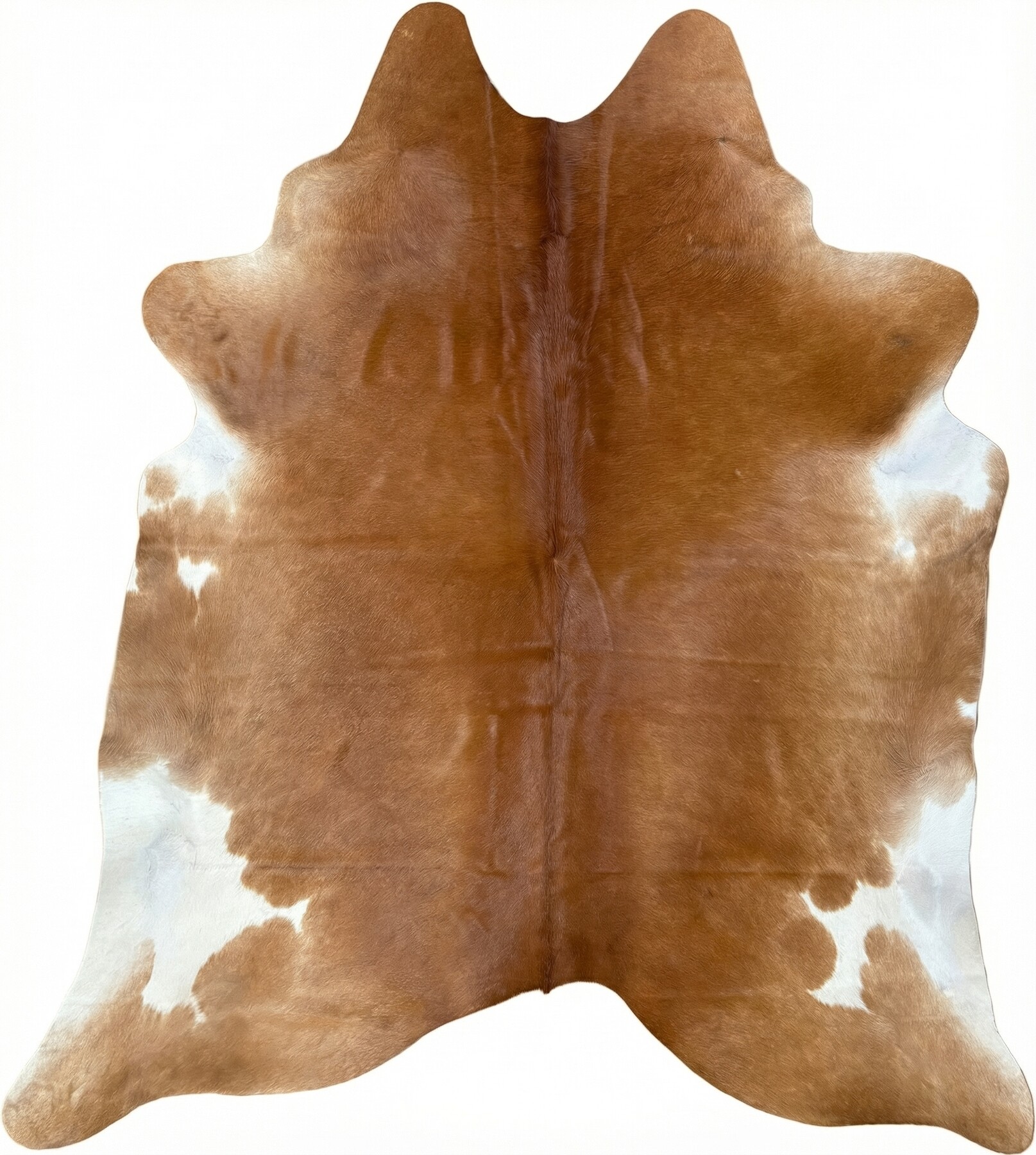 Kuhfell-Teppich 225x202 cm XL (Groß) - Bild 2