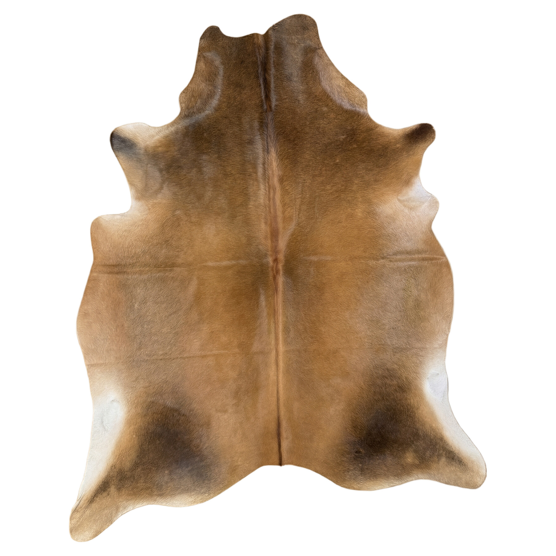 Kuhfell-Teppich 229x181 cm - Bild 2