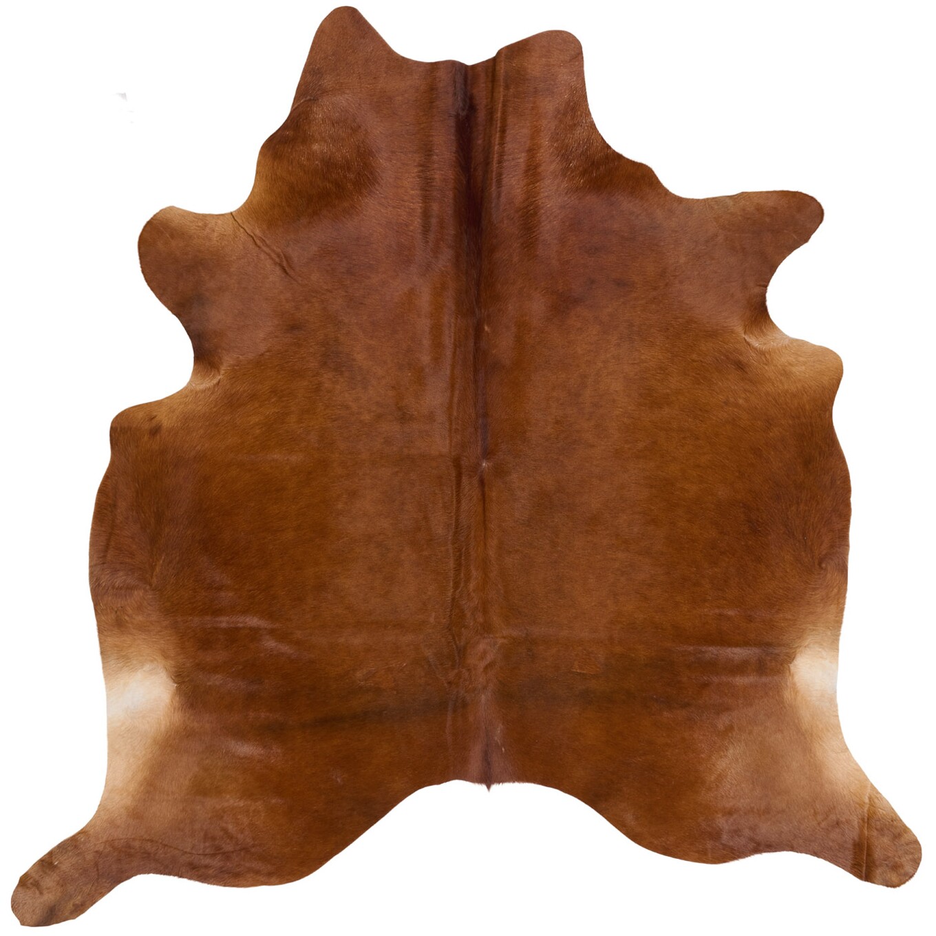 Kuhfell-Teppich 241x239 cm - Bild 2