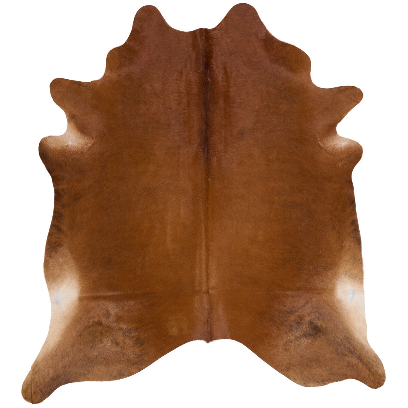 Kuhfell-Teppich 239x217 cm - Bild 2