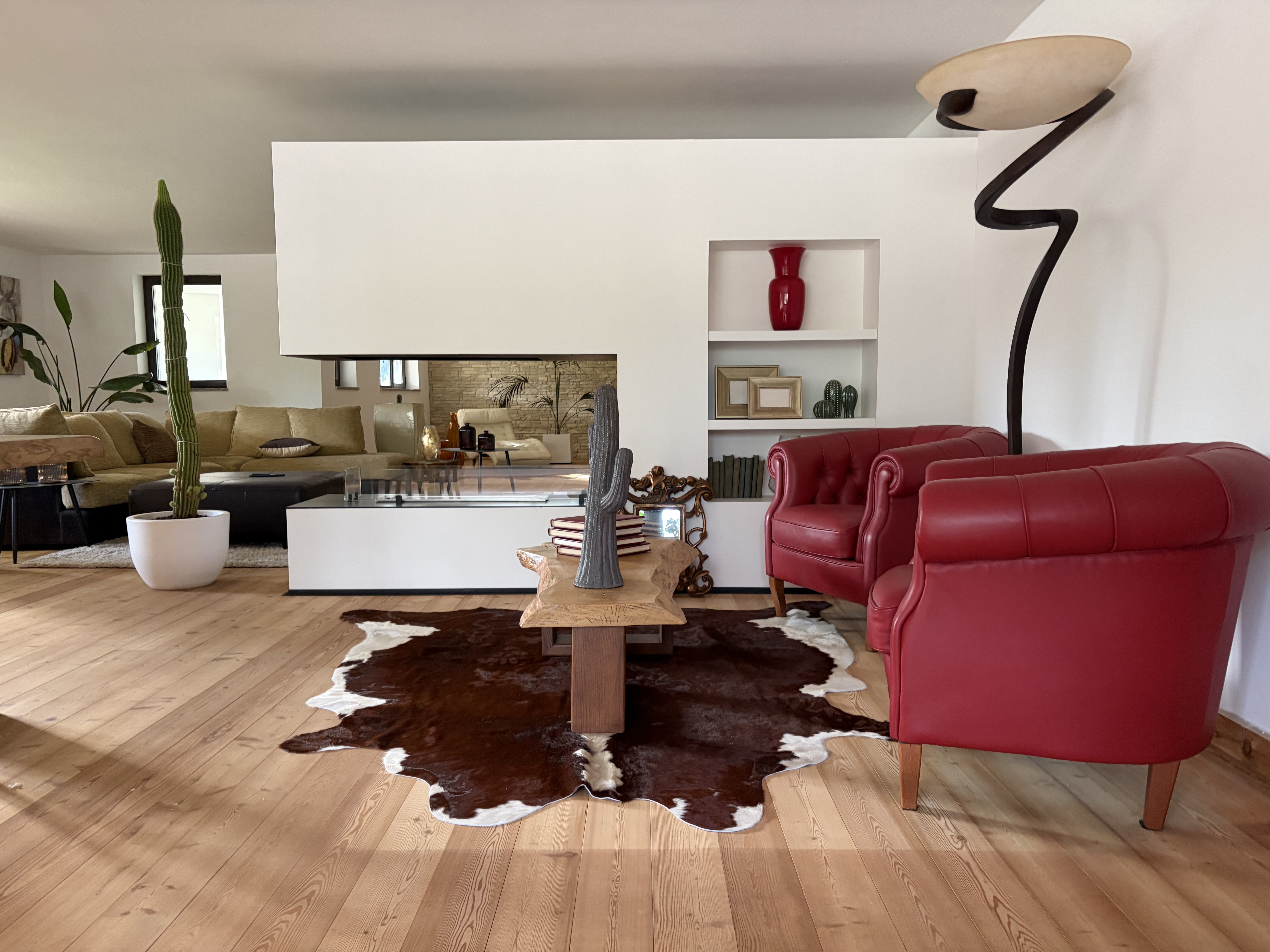 Braun-weißes Kuhfell unter einem Couchtisch aus Holz neben roten Sesseln auf einem Holzboden