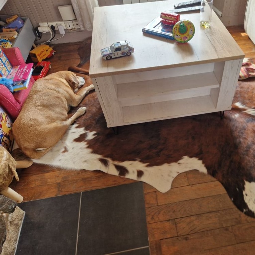 Braun-weißes Kuhfell unter einem weißen Couchtisch, auf dem ein Hund ruht.